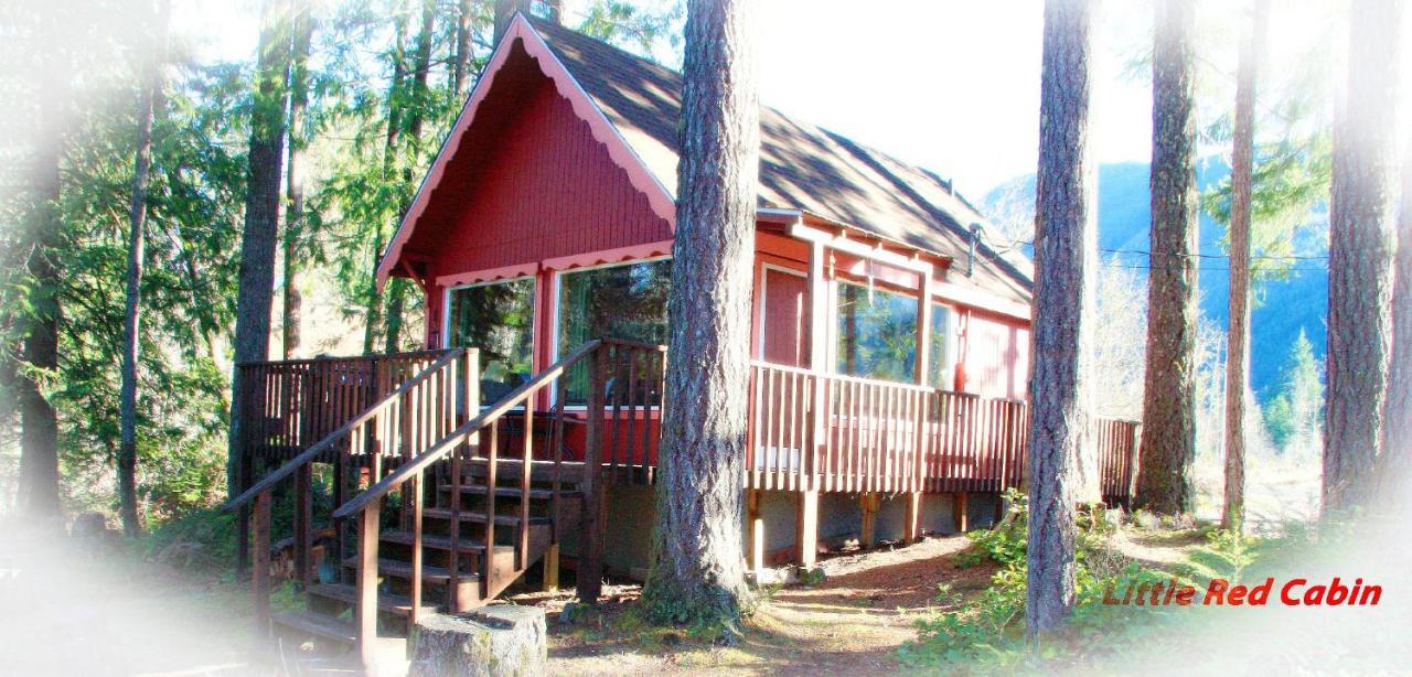 Mt Rainier Little Red Cabin Эшфорд Экстерьер фото