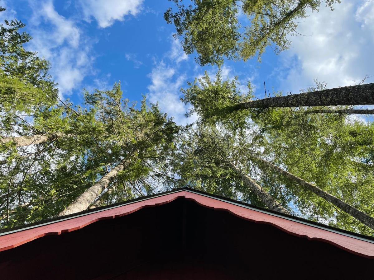 Mt Rainier Little Red Cabin Эшфорд Экстерьер фото